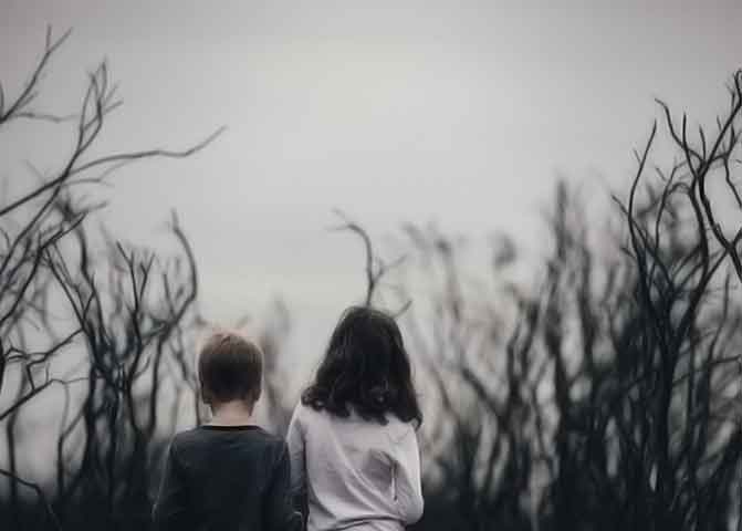 谁能介绍下的器测压文章